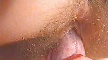 Spizoo වෙතින් අලංකාර Violet Monroe සමඟ මිල්ෆ් ස්මට්